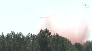 Francia, fiamme sulla penisola di Cap-Ferret: evacuate 40.000 persone via terra e mare