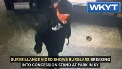 Surveillance video shows burglars breaking into concession stand at park in ky.