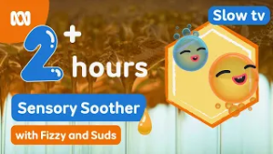 2+ hours soothing honey dripping for children's sleep and relaxation ? | Fizzy & Suds | ABC Kids