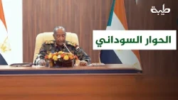 Haitham Mahmoud comments on the Sudanese dialogue