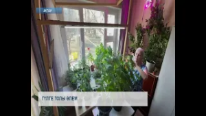 Гүлге толы әлем