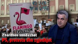 “S’na ndalin 100 vetë me gurë” Blendi Gonxhja: Si i përgjigjemi protestës - Quo Vadis