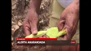 CONRED declara alerta anaranjada nacional por sequía con daños en 138 municipios