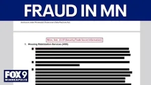 Minnesota officials update on anti-fraud systems for Medicaid