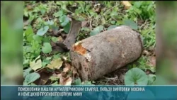 WWII-era discoveries near Dubossary