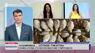 Η διοικήτρια του Γενικού Νοσοκομείου Νίκαιας Ελένη Κανταράκη στο ΕΡΤnews για τα κρούσματα σαλμονέλας