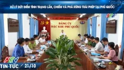 DECISIVE ACTION AGAINST ILLEGAL LAND ENCROACHMENT AND DEFORESTATION IN PHU QUOC