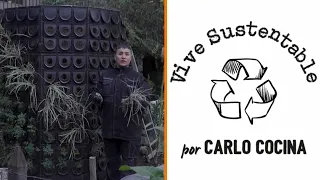 What is the Living Filter project and what is it for? | Sustainable Living