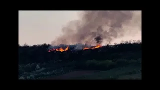 BLIC INFO 26.08.2026. RT CARIBROD DIMITROVGRAD