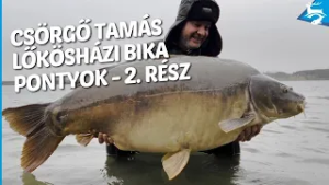 F&H bemutatja: Csörgő Tamás a Lőkösházi bika pontyok nyomában - 2. rész