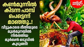 പിടികൂടിയിട്ടേ പോകൂ..!" വാശിയിലുറച്ച് വാവാ സുരേഷ് | Cobra Snake Rescue By Vava | Snakemaster EP 1224