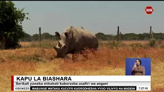 Taarifa za Biashara | Kenya yawekeza kwenye utalii wa kifahari