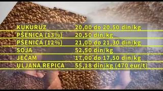 Novi rod pšenice i uljane repice obeležio trgovanje na Produktnoj berzi