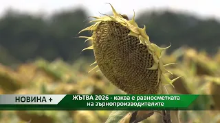 Новина плюс: ЖЪТВА 2026 - каква е равносметката на зърнопроизводителите