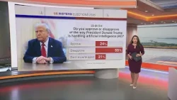 US midterms: What the latest polls reveal about the race for Congress