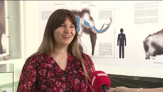 Muzej distrikta Brčko, besplatne radionice