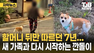 7 Years of Following Grandma… Kkandoli's New Beginning with a New Family｜TJB Daejeon·Sejong·Chung...