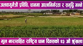 आयातित चामलको भरमा चल्दै नेपालीको भान्सा | News Report |