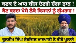 ਕਣਕ ਦੇ ਆਹ ਬੀਜ ਦੇਣਗੇ ਚੰਗਾ ਝਾੜ ! ਕੋਣ ਕਰਦਾ ਕਿਸਾਨਾਂ ਨੂੰ ਗੁੰਮਰਾਹ ! ਕੁਲਦੀਪ ਸਿੰਘ ਸ਼ੇਰਗਿਲ ਮਾਰਖਾਈ ਦੇ ਖੁਲਾਸੇ