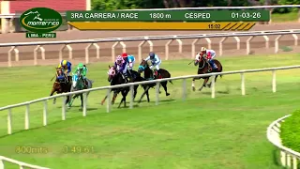 Hipódromo Monterrico - 3ra Carrera 01 Marzo 26