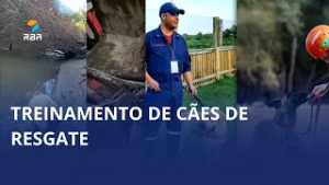 Heróis de quatro patas entram em ação quando cada segundo vale uma vida