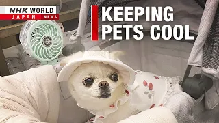 Safeguarding pets in a warming worldーNHK WORLD-JAPAN NEWS