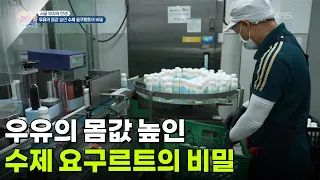[시골 부자의 탄생] 우유의 몸값 높인 수제 요구르트의 비밀 [생방송 굿모닝 대한민국] | KBS 260923 방송