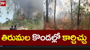 తిరుమల కొండల్లో కార్చిచ్చు |  Forest Fire Erupts in Tirumala Hills | 99TV
