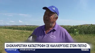 Ολοκληρωτική καταστροφή σε καλλιέργειες στον Πέπλο του Εβρου