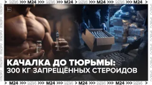 Качалка до тюрьмы: 300 кг запрещённых стероидов изъяли в Москве