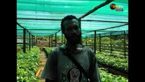 COCOA PROJECT UPDATE