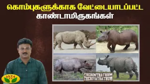 காண்டாமிருகங்களின் மறுபக்கம் | Therinthathum Theriyathathum | Jaya TV