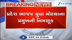 Patan's Dr. Naresh Desai appointed as president of Gujarat Pradesh Bhajap Yuva Morcha
