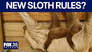 FWC public meeting: guideline changes after Sloth World