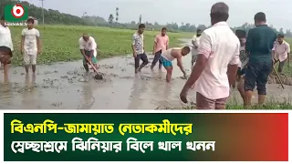 বিএনপি-জামায়াত নেতাকর্মীদের স্বেচ্ছাশ্রমে ঝিনিয়ার বিলে খাল খনন | Gaibandha | Jhiniya Bil | Canale