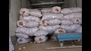 What’s Worth Buying at the Aktobe Wholesale Market