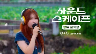 연꽃 명소 청도 유호연지 군자정에서 부르는 한로로 0+0 #사운드스케이프