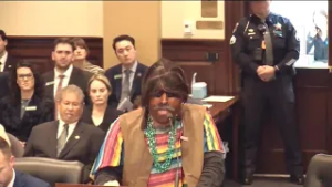 Idaho House committee faces backlash after allowing "overtly racist action"