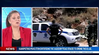 Εντόπισαν ένα ολόκληρο δάσος από χασισόδεντρα