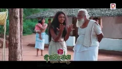 මොන අපරාදයක්ද මේ වුණේ? | අස්වැන්න