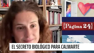 The Biological Key to the Brain: How Breathing Modulates the Mind | Página 24