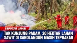 STILL BURNING, 30 HECTARES OF PALM OIL LAND IN SAROLANGUN REMAIN ABLAZE