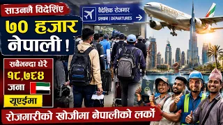 झण्डै १९ हजार नेपाली रोजगारीका लागि यूएई पुगे, साउनमै ७० हजार विदेशिए ||| News Report