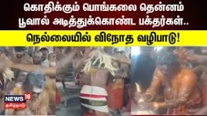 Tirunelveli | Nellai | Temple worship | கொதிக்கும் பொங்கலை வைத்து. நெல்லையில் விநோத வழிபாடு!