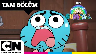 Kırışıklık | GUMBALL'IN MUHTEŞEM TUHAF DÜNYASI | TAM BÖLÜM | @cartoonnetworkturkiye