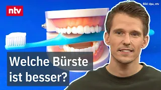 Zähneputzen – Handzahnbürste oder elektrisch – was ist besser? | ntv