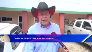 Cosecha de postrera ha sido un éxito