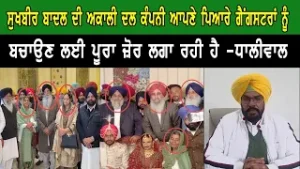 ਸੁਖਬੀਰ ਬਾਦਲ ਦੀ ਅਕਾਲੀ ਦਲ ਕੰਪਨੀ ਆਪਣੇ ਪਿਆਰੇ ਗੈਂਗਸਟਰਾਂ ਨੂੰ ਬਚਾਉਣ ਲਈ ਪੂਰਾ ਜ਼ੋਰ ਲਗਾ ਰਹੀ ਹੈ -ਧਾਲੀਵਾਲ