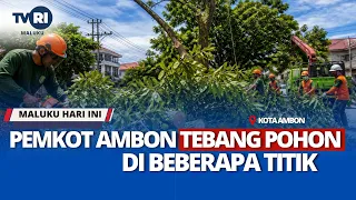 PEMKOT AMBON TEBANG POHON DI BEBERAPA TITIK  - MHI 05/05/2026