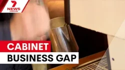 Cabinet under fire for lack of small business experience | 7NEWS